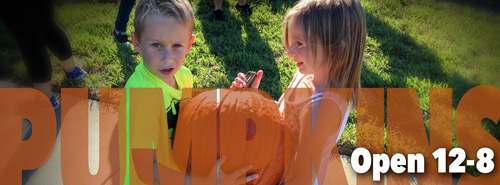 Pumpkins-BANNER-500